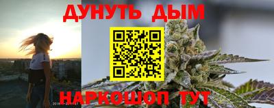 гидропоника Краснознаменск
